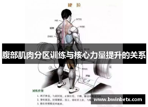 腹部肌肉分区训练与核心力量提升的关系